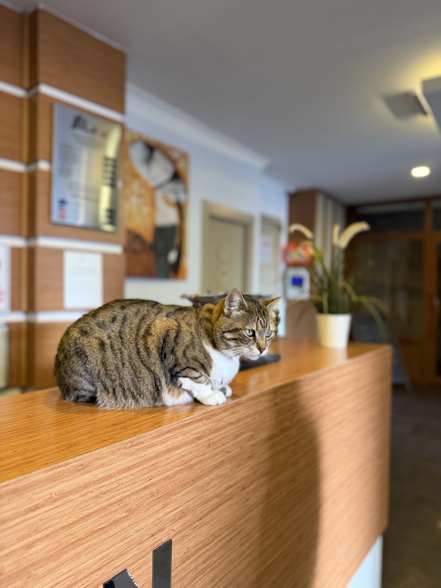 Line Suite Hotel — fotoğraf 2