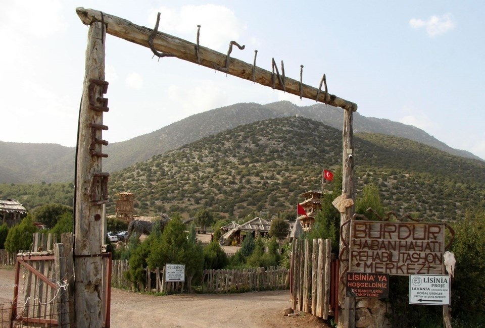 Lisinia Doğa proje Alanı — fotoğraf 1