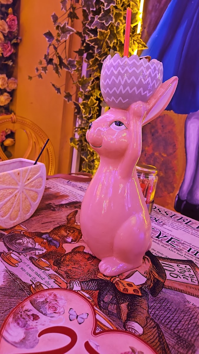 Little Kook — photo 3