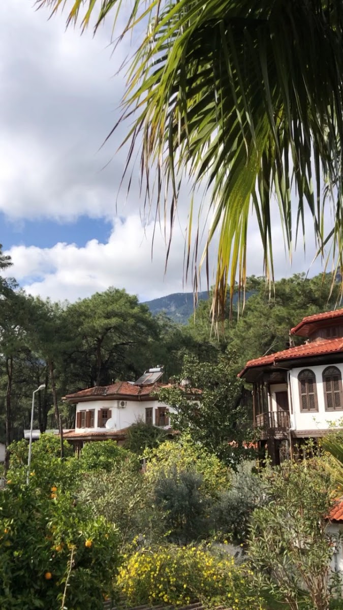 Liya Boutique Hotel & Suites / Villa Yonca — fotoğraf 3