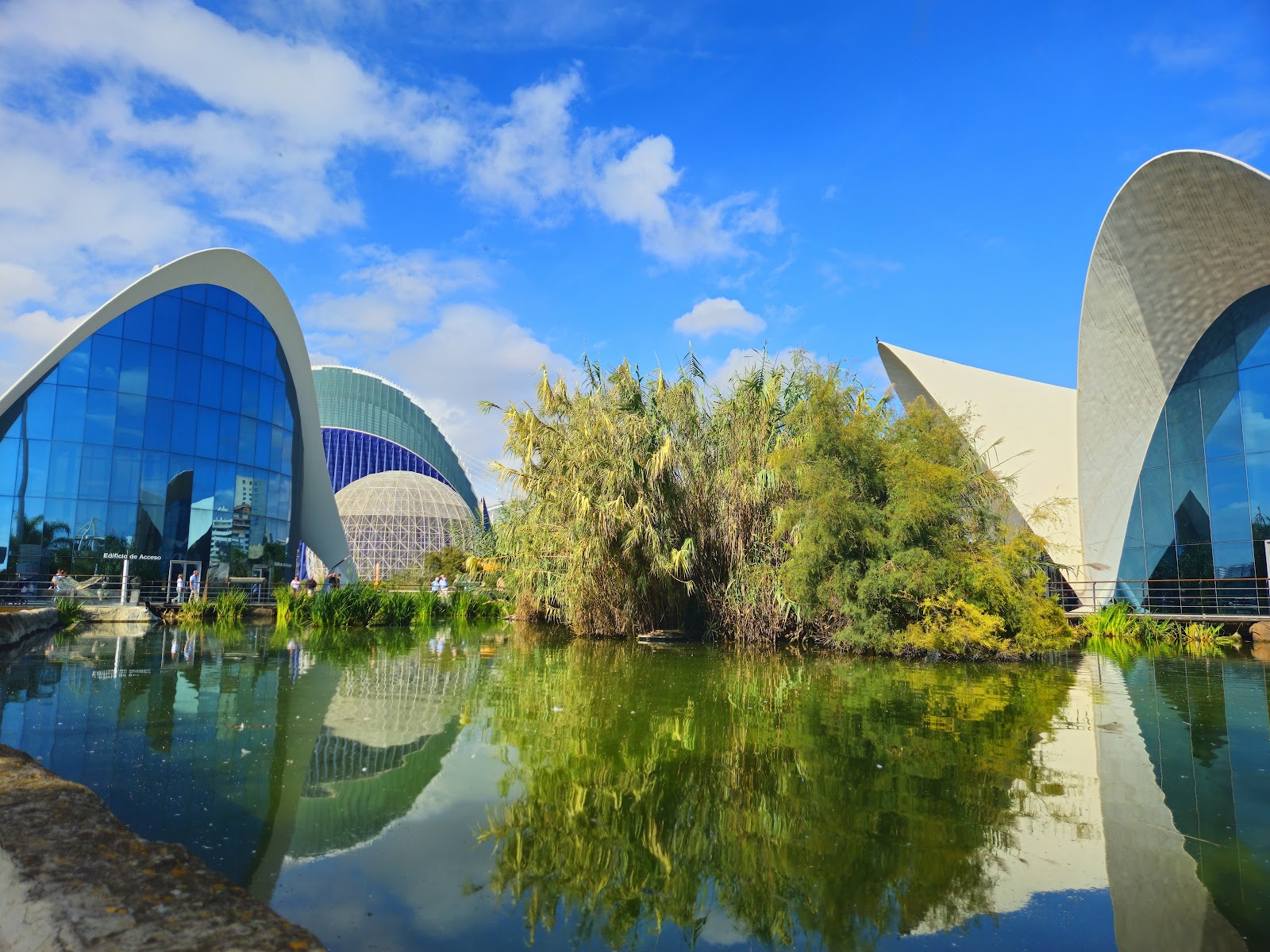 L'Oceanogràfic — photo