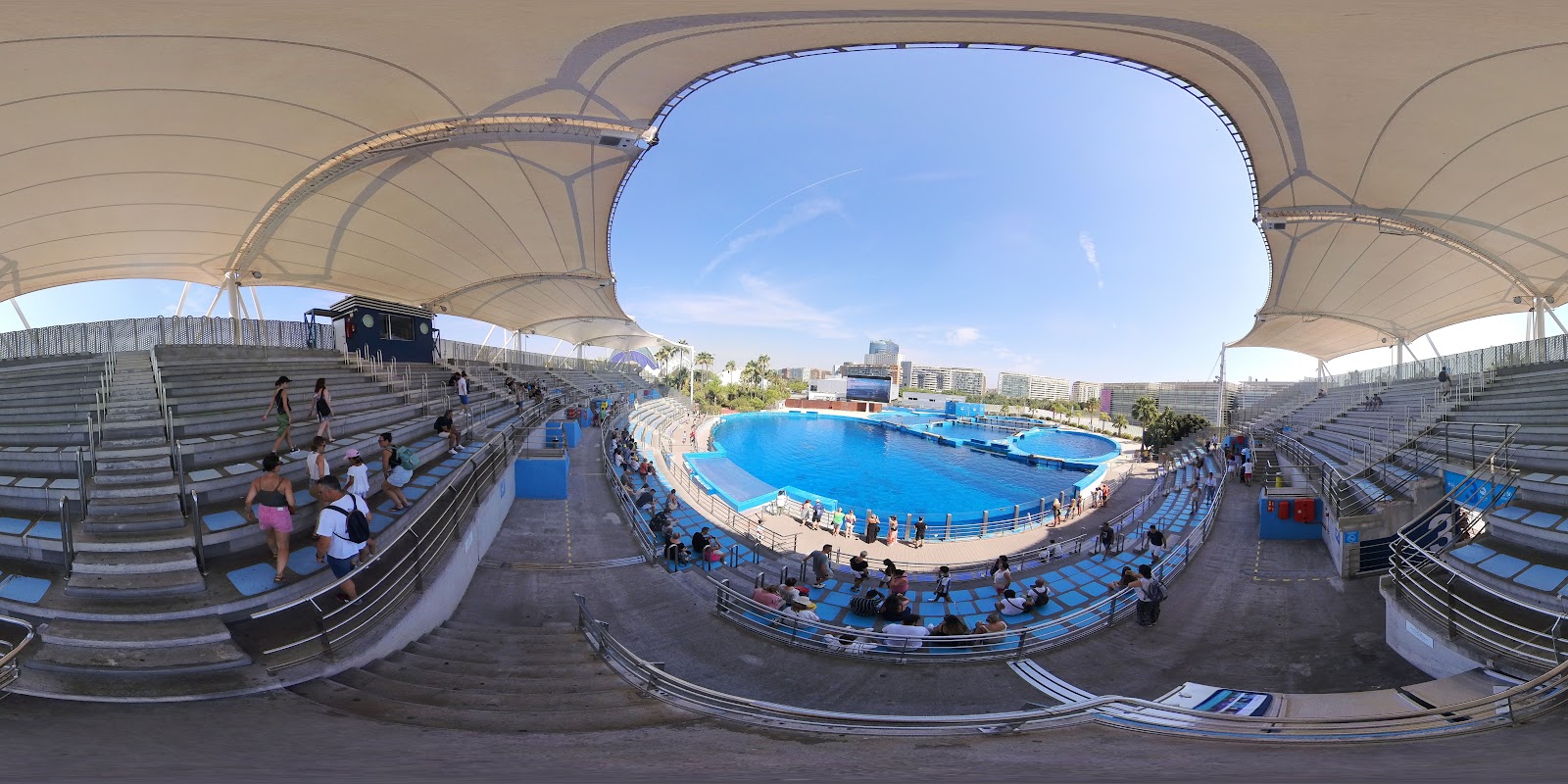 L'Oceanogràfic — fotoğraf 7