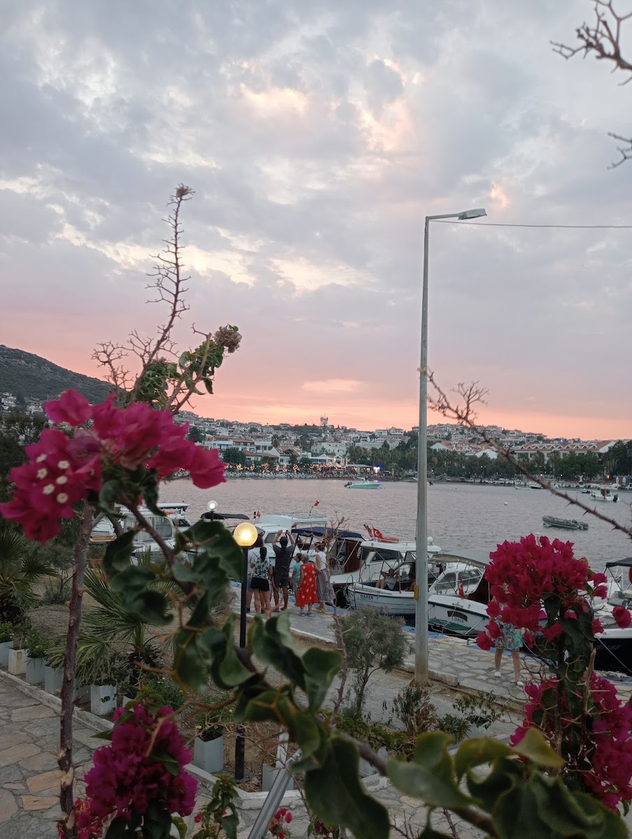 Lodos nargile cafe — photo 8