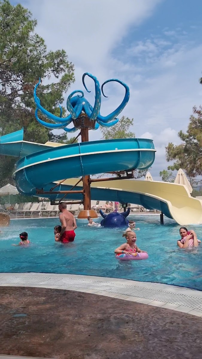 Long Beach Club Nature — fotoğraf 4