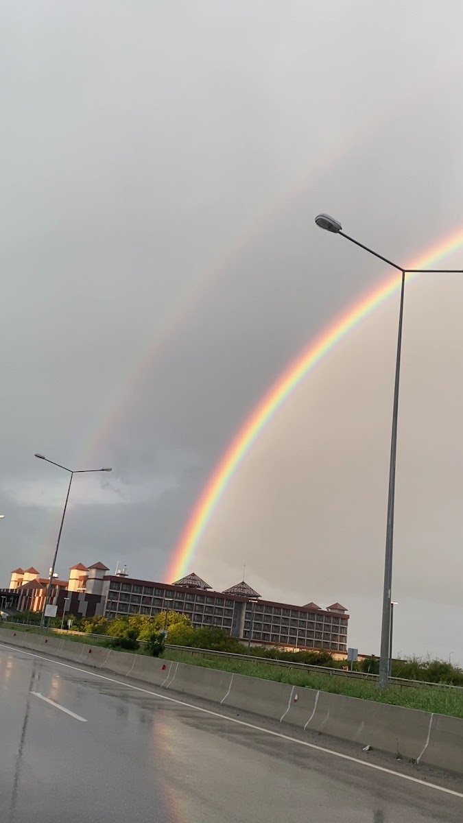 Long Beach — fotoğraf 3