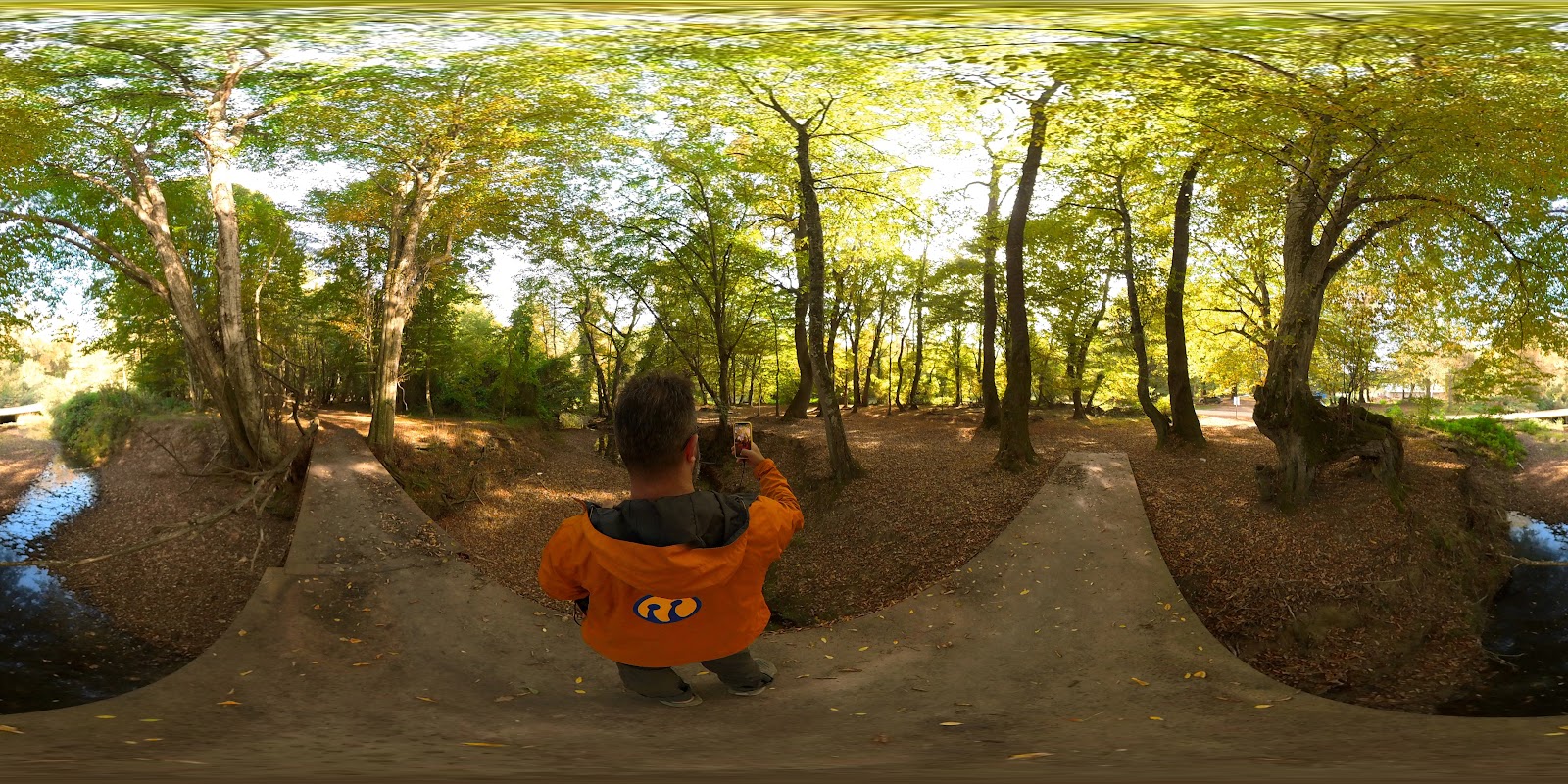 Longoz Ormanı Giriş — fotoğraf 4