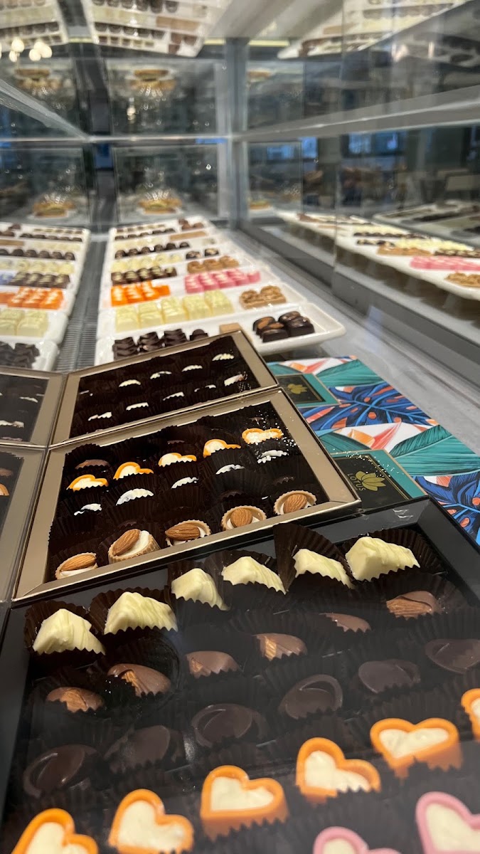 Lotus atelierchocolat (vadipark ) — photo 5