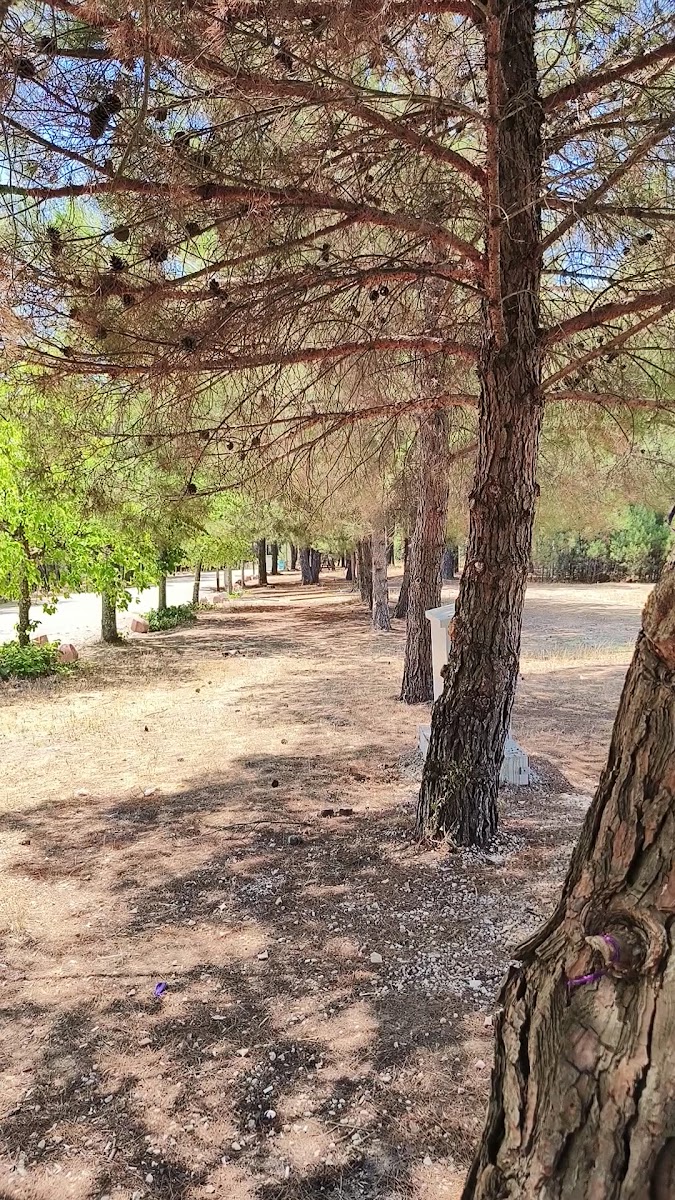 LÜLEBURGAZ KENT ORMANI — fotoğraf 2