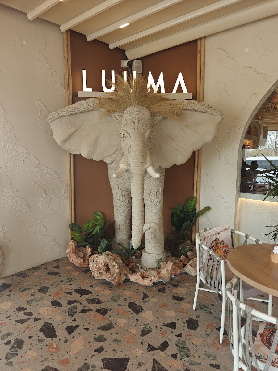 Luuma Kayapınar — fotoğraf 2