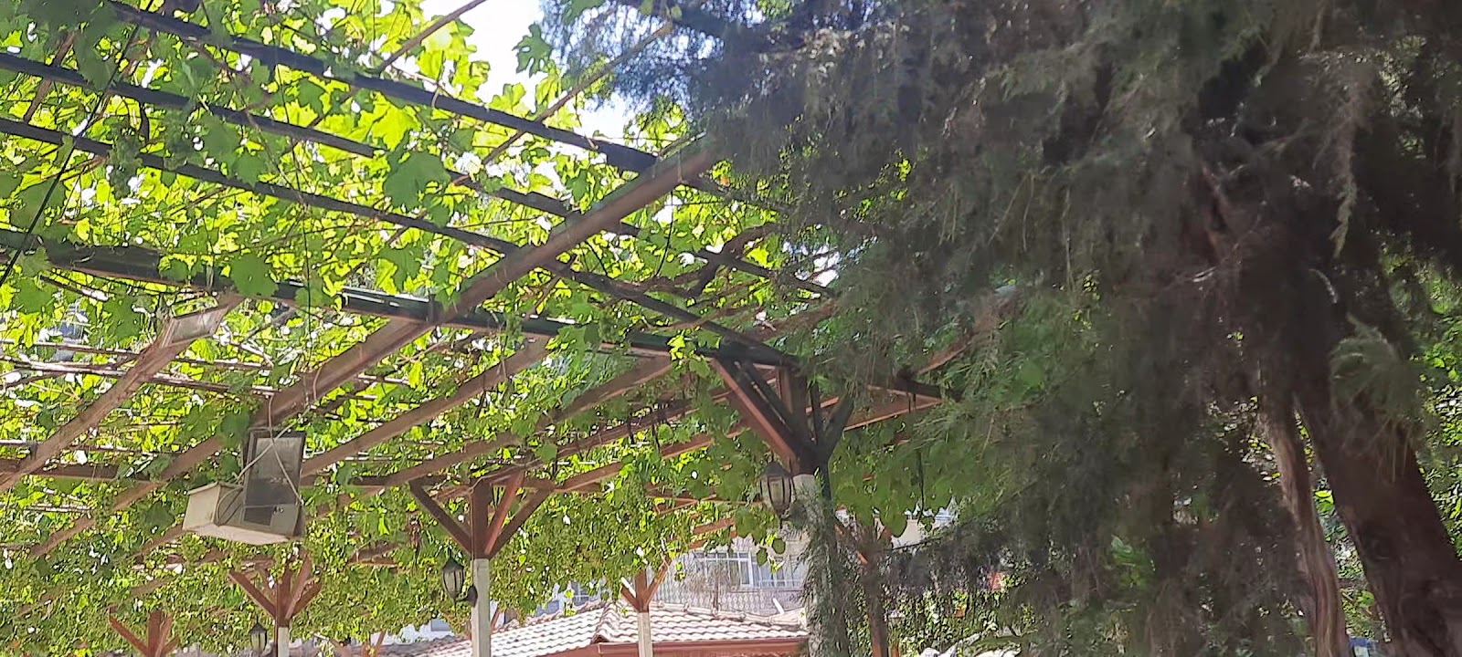 Luwi Antakya Boutique Hotel — fotoğraf 5