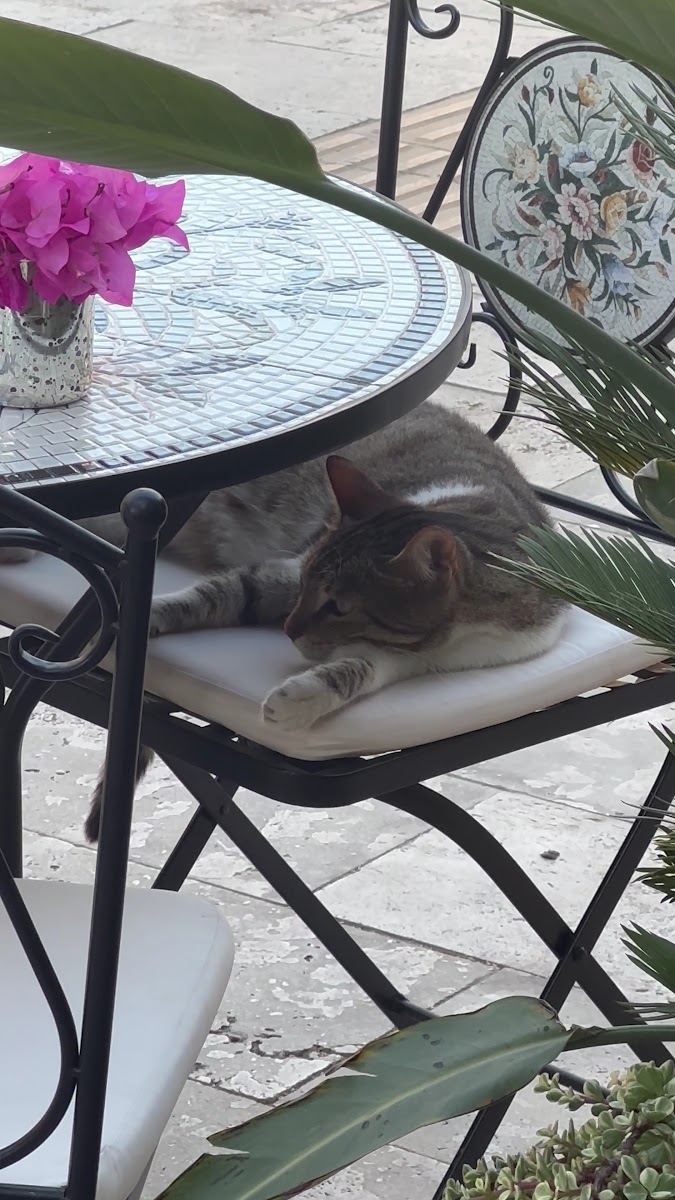 Ma'Ale Bodrum — photo 8