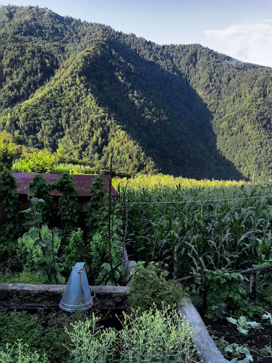 Macahel Greenroof Otel — fotoğraf 3