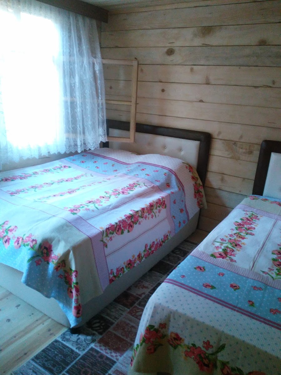 Macahel İremit Pansiyon — fotoğraf 4