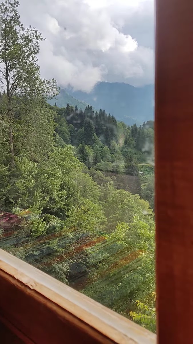 Macahel Köy Evi — fotoğraf 3