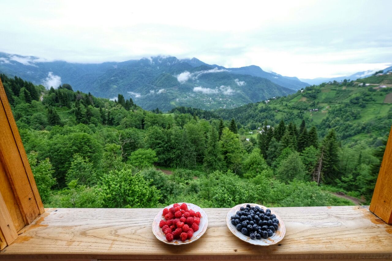Macahel Köy Evi — fotoğraf 6