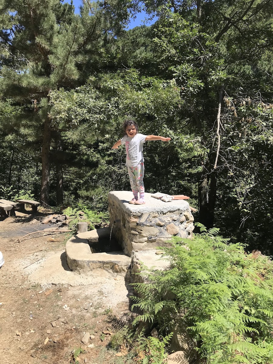 Madra Dağları — fotoğraf 4