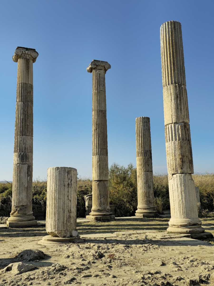 Magnesia ad Maeandrum Ören Yeri (Menderes Magnesia’sı)