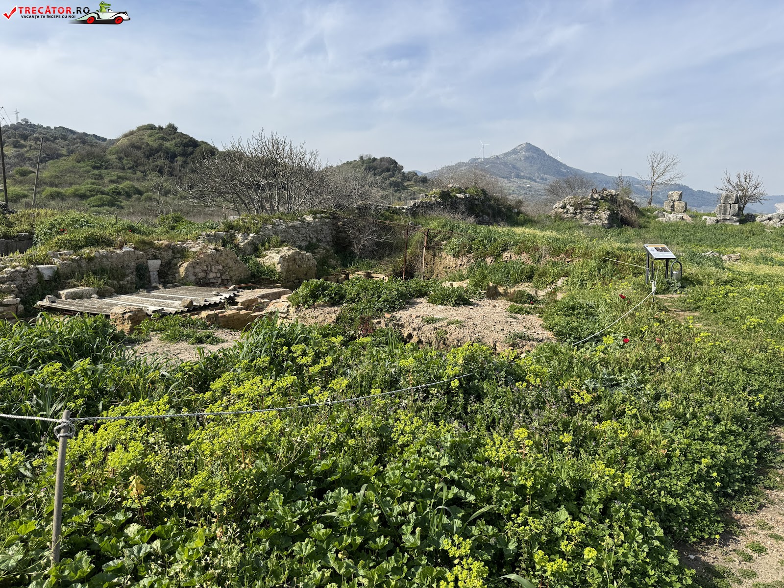 Magnesia ad Maeandrum Ören Yeri (Menderes Magnesia’sı) — fotoğraf 2