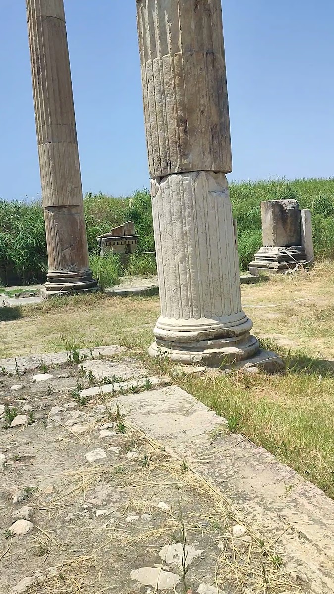 Magnesia ad Maeandrum Ören Yeri (Menderes Magnesia’sı) — fotoğraf 3