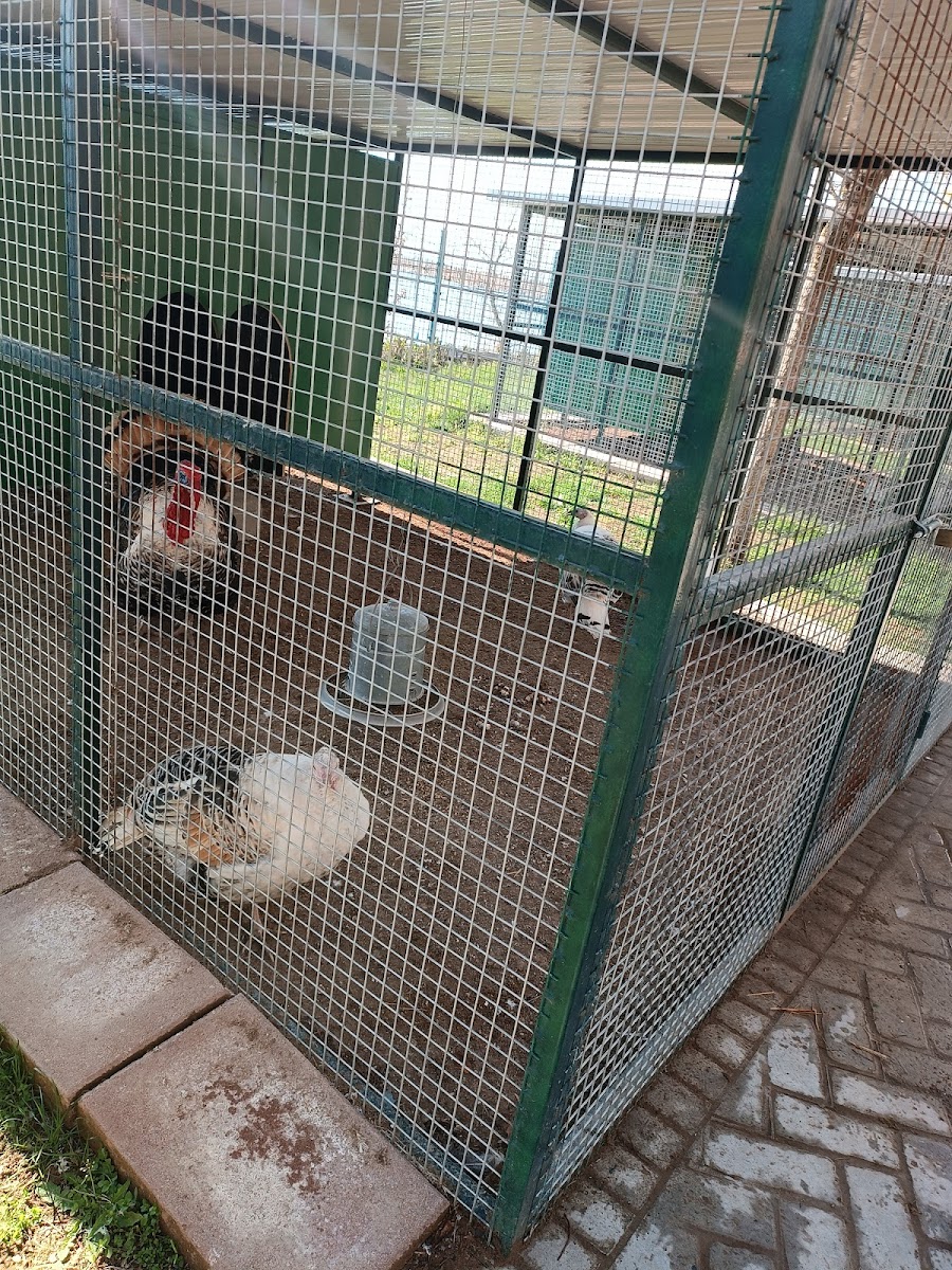 Malatya Hayvanat Bahçesi — fotoğraf 2