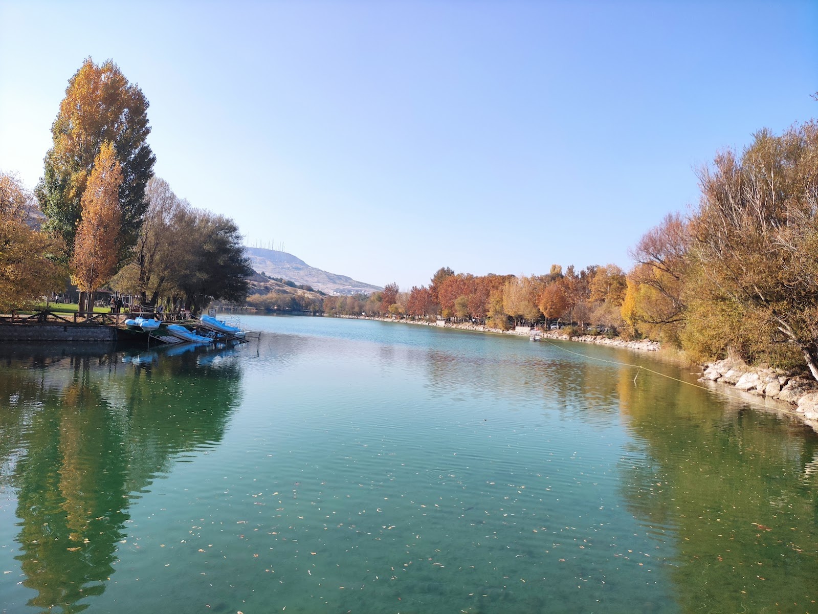 Malatya Hayvanat Bahçesi — fotoğraf 4