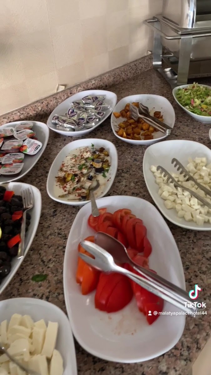 Malatya Palace Hotel — fotoğraf 3