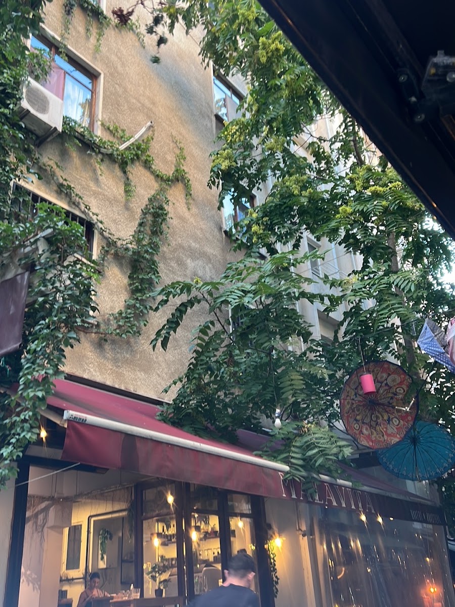 Malavita Coffee Shop — photo 2
