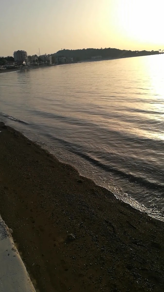 Maliye Kampı — fotoğraf 3