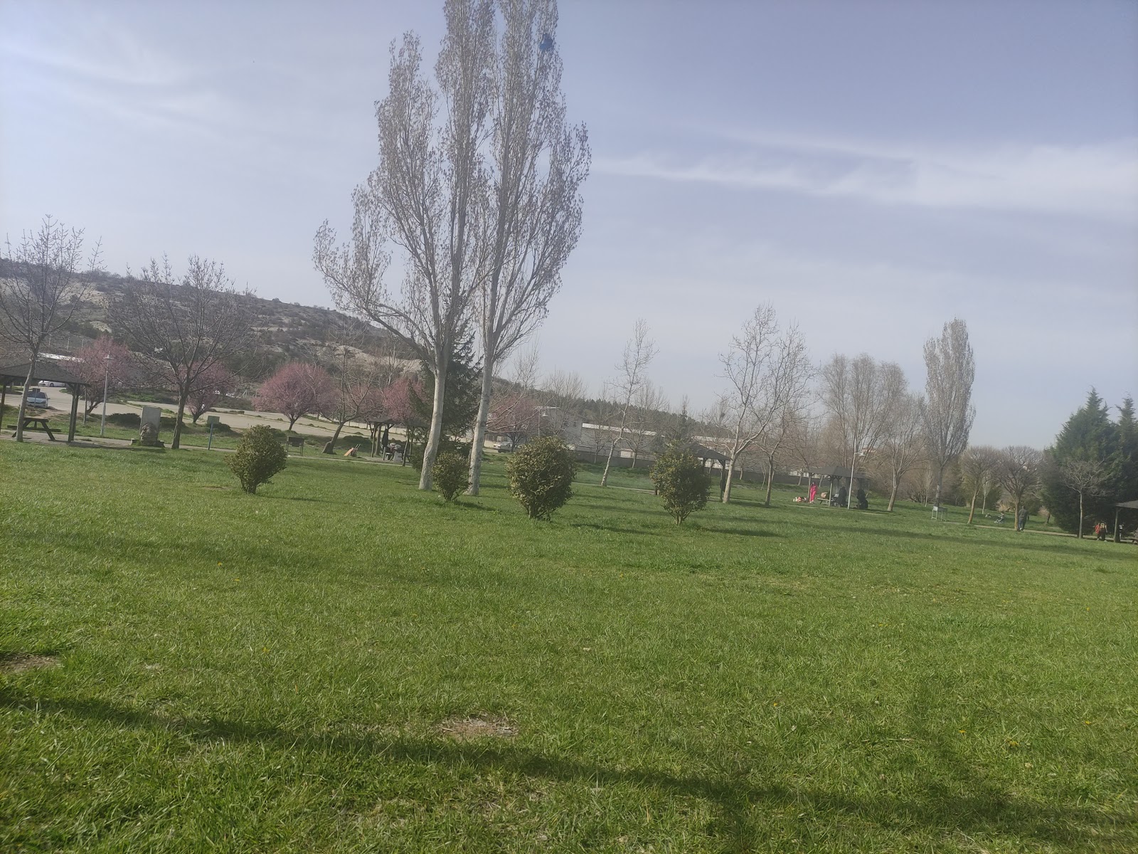 mamuca piknik alanı — fotoğraf 2