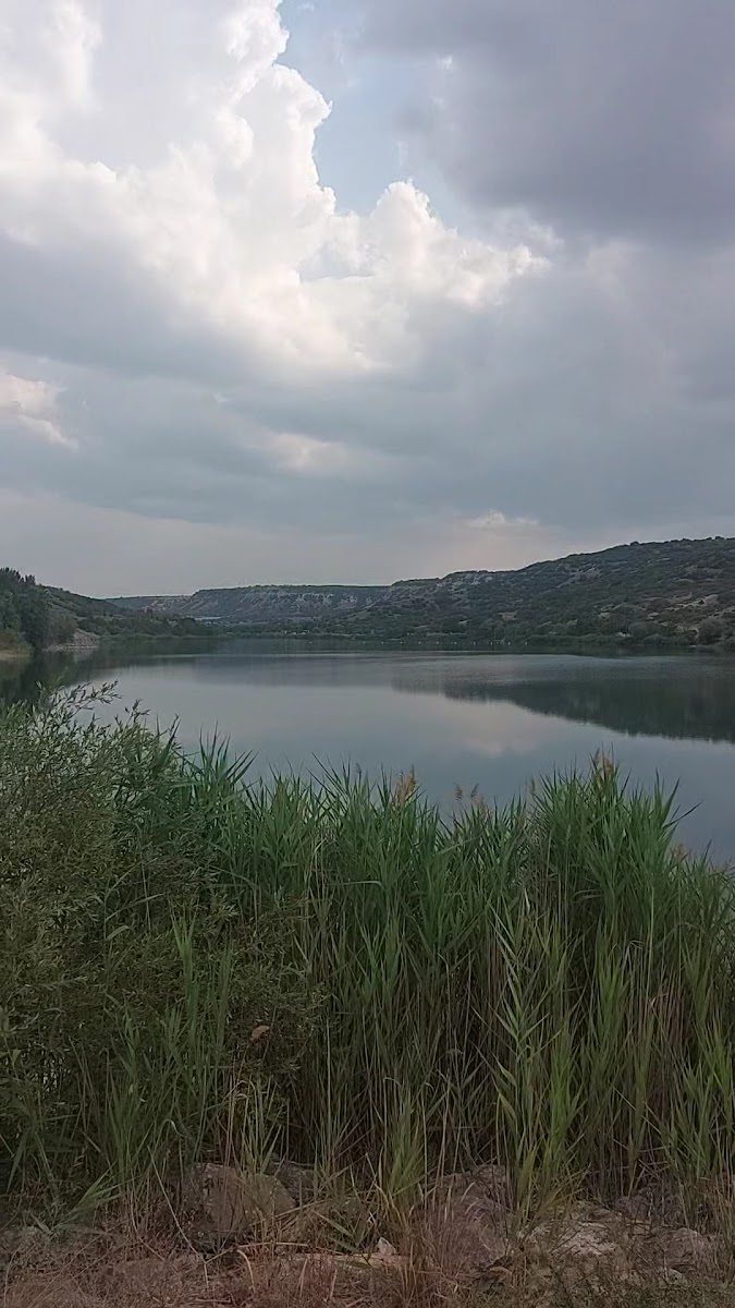 mamuca piknik alanı — fotoğraf 3