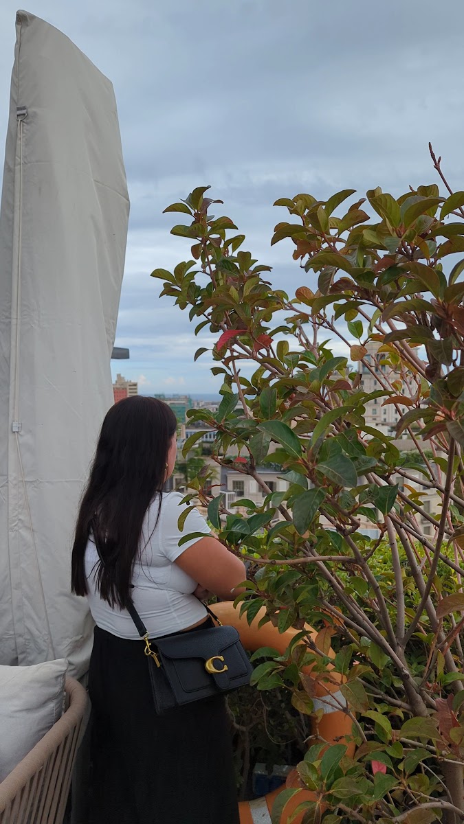 Mandarin Oriental Barcelona — photo 3