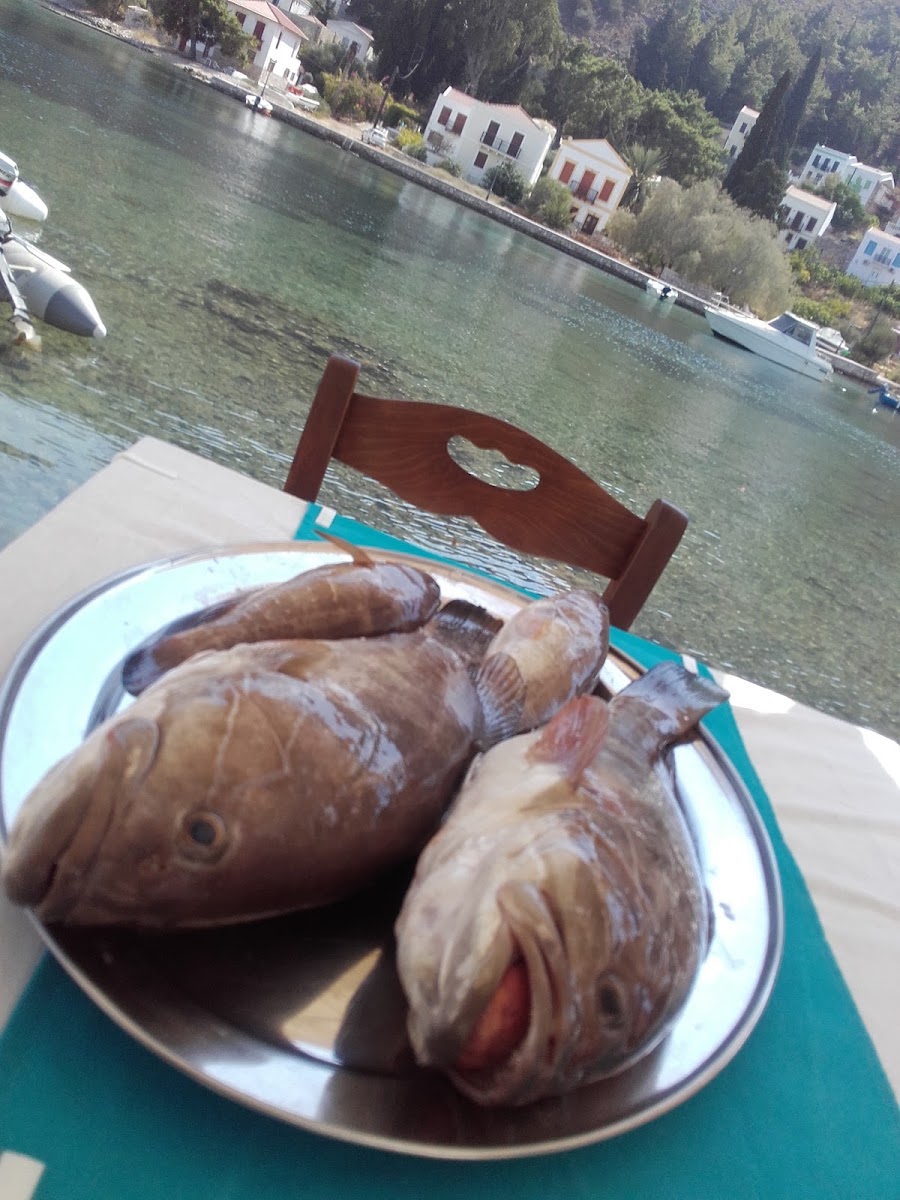 Mandraki Seafood Restaurant — photo