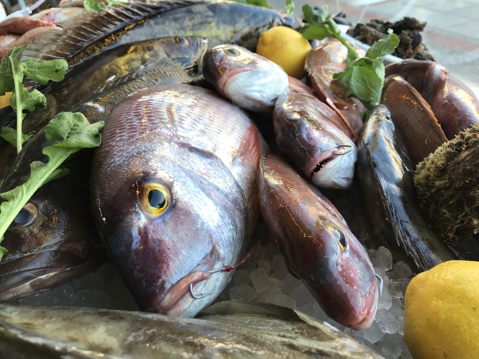 Manias fish tavern — fotoğraf 4