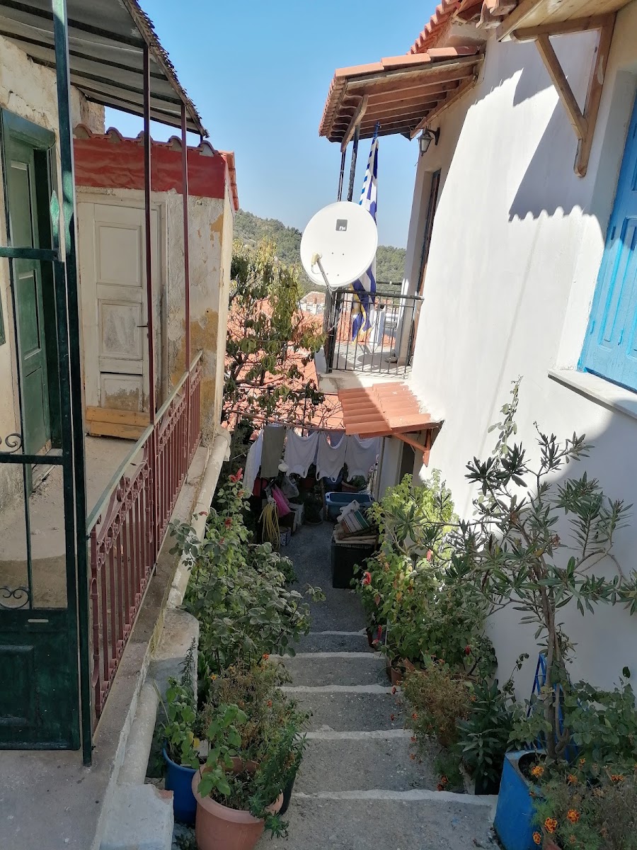 Manolates — photo 2