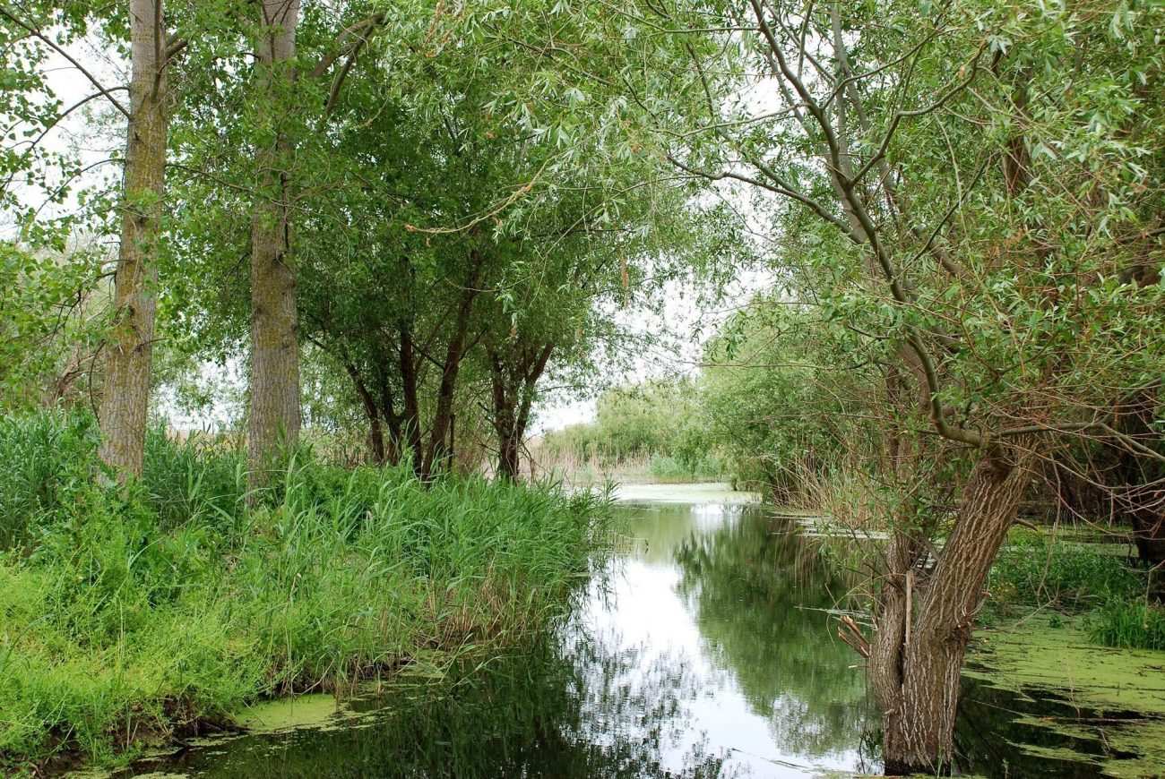 Manyas Gölü — fotoğraf 2