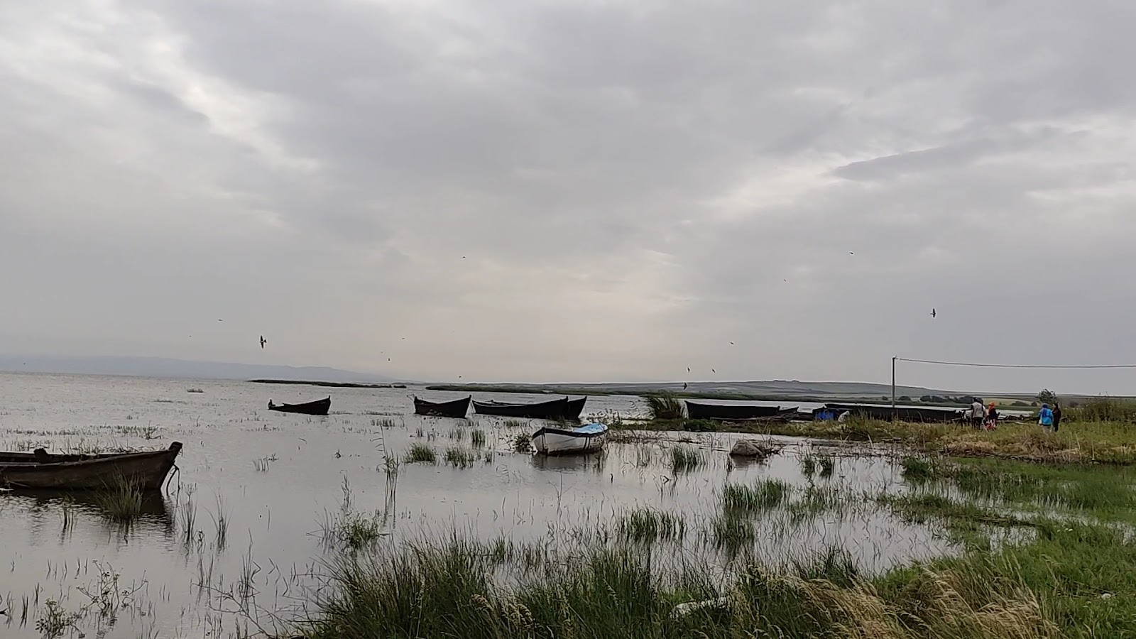 Manyas Gölü — fotoğraf 3