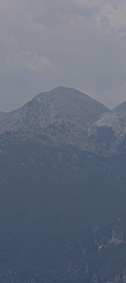 Manzara Tepesi Mısırcısı — photo 2