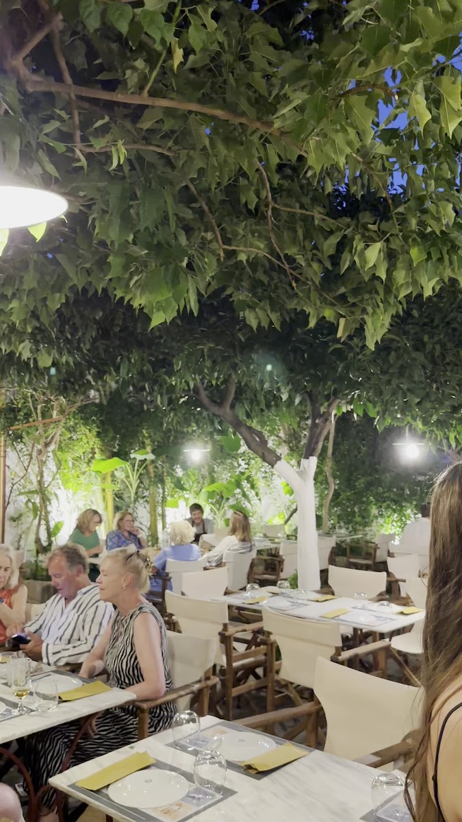 Marco Polo Restaurant — fotoğraf 3