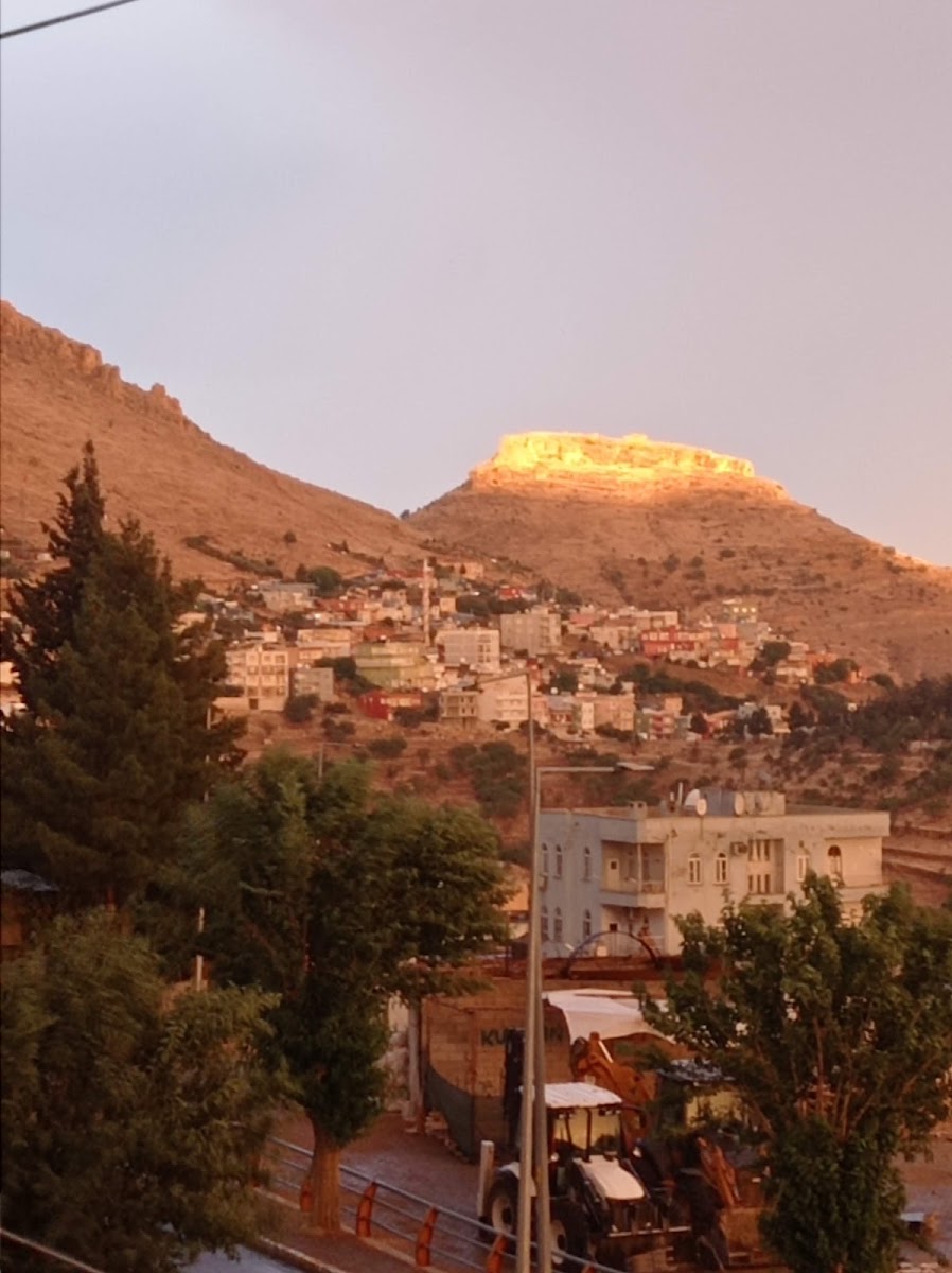 Mardinli — photo 3