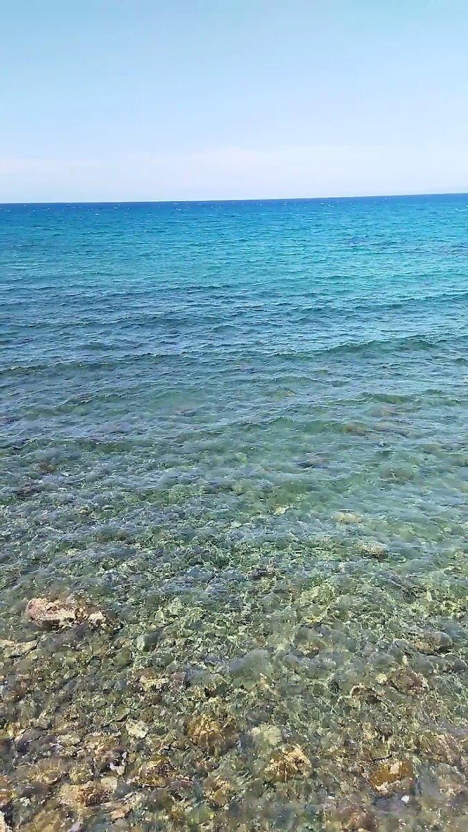 Mardinli — photo 3