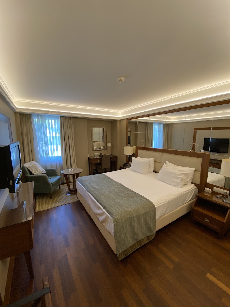 Marigold Thermal & SPA Hotel Bursa — fotoğraf 4