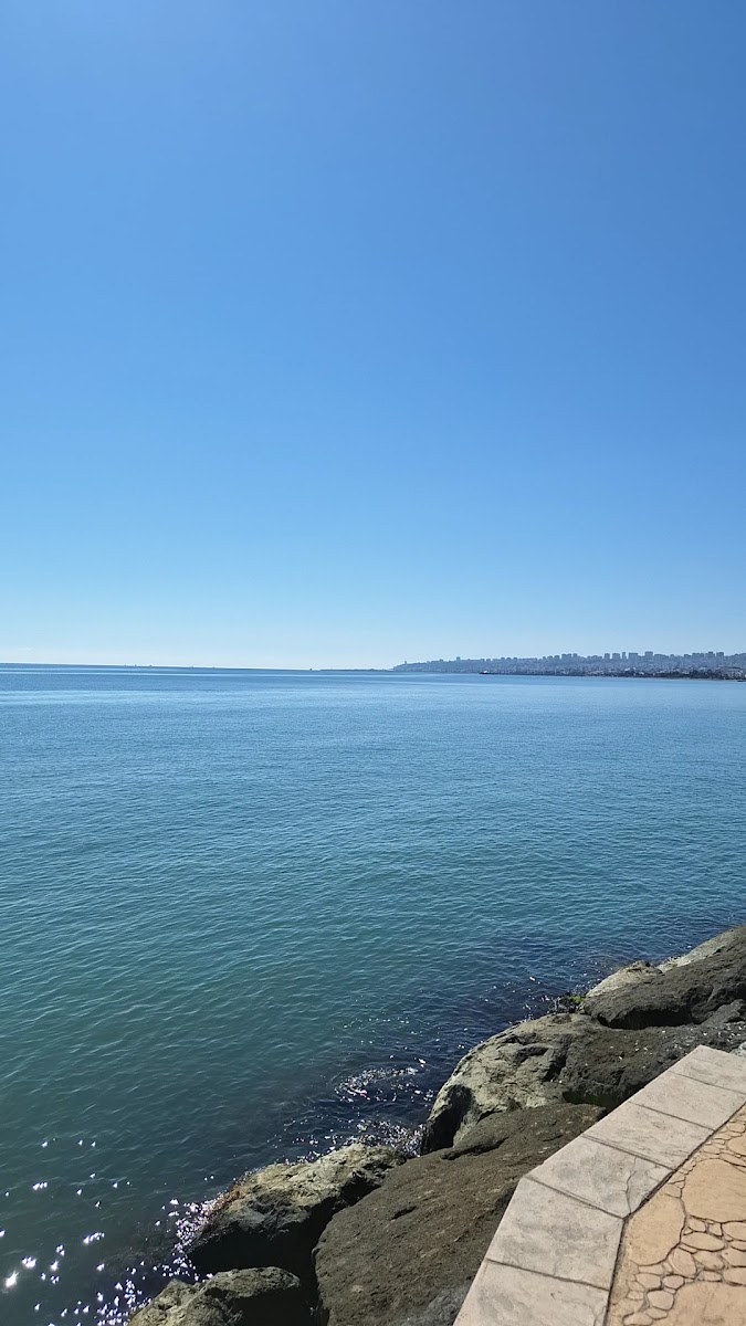 Marina Hotel Samsun — fotoğraf 6