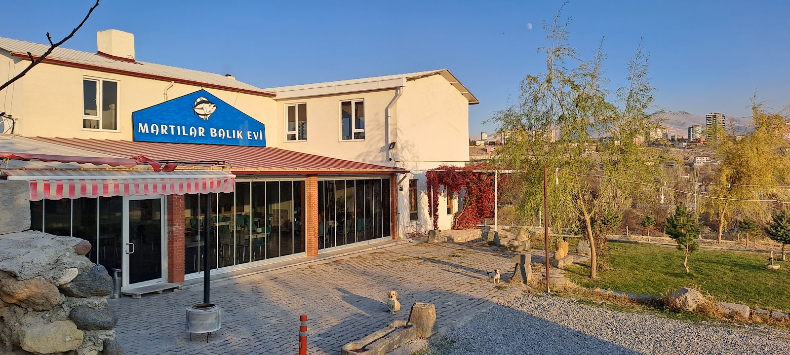 Martılar Balık Evi — fotoğraf