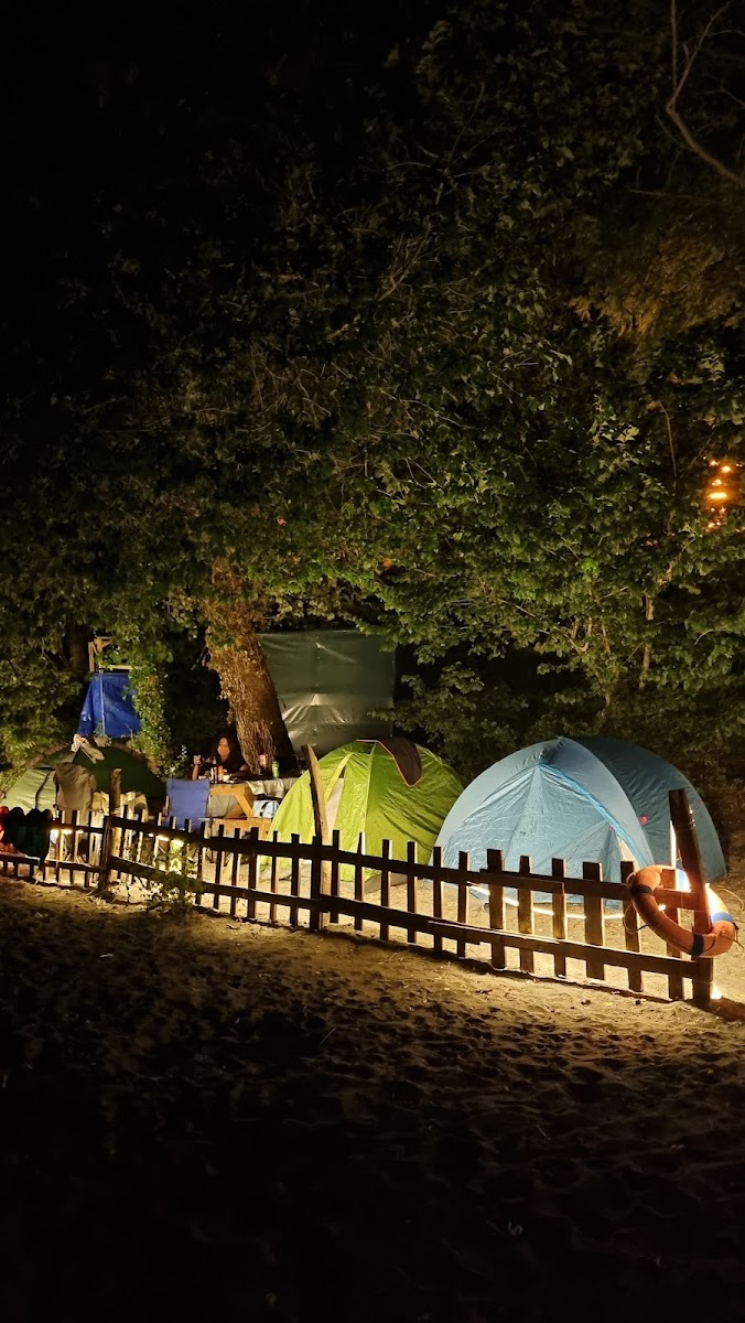 MASAL KAMP YAKUP'UN YERİ — fotoğraf 4