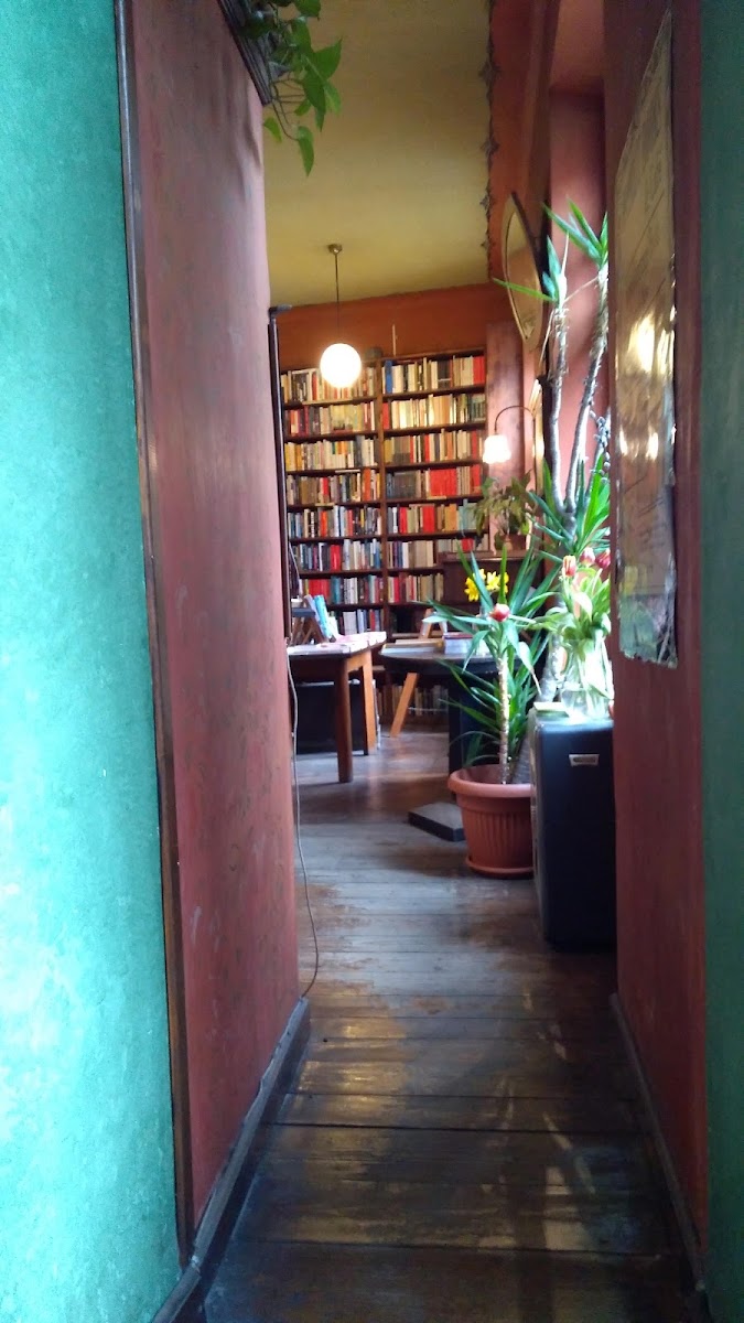 Massolit Books & Café — photo 5