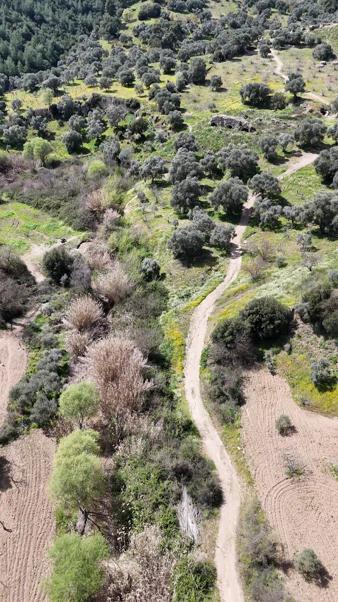 Mastaura Antik Kenti — fotoğraf 3