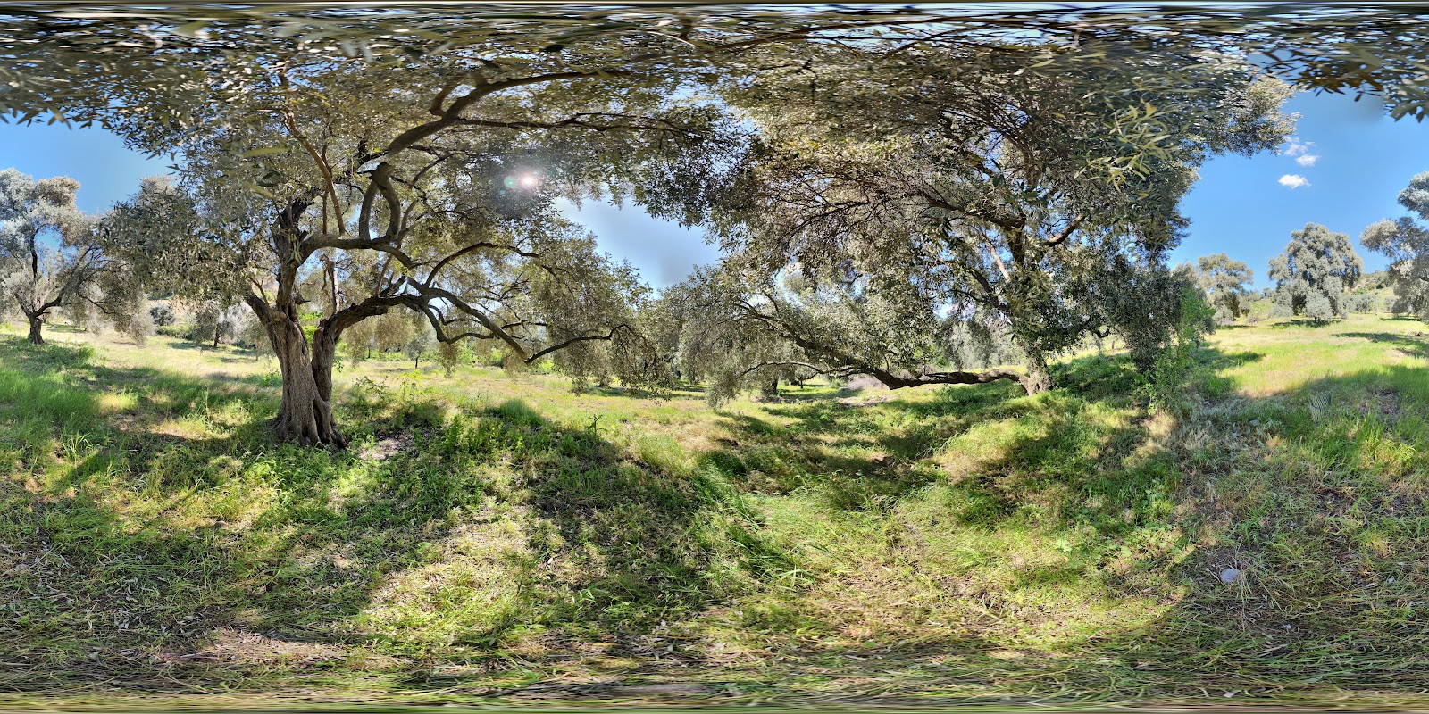 Mastaura Antik Kenti — fotoğraf 4