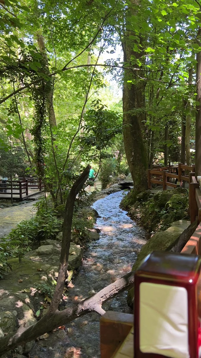 Maşukiye Mesire Alanı — fotoğraf 3
