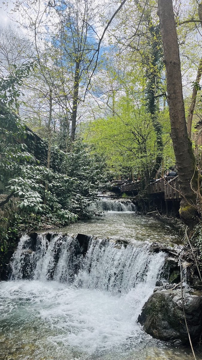 Maşukiye Şelalesi — fotoğraf 2
