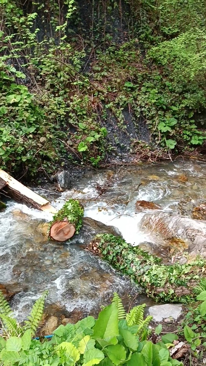 Maşukiye Şelalesi — fotoğraf 3